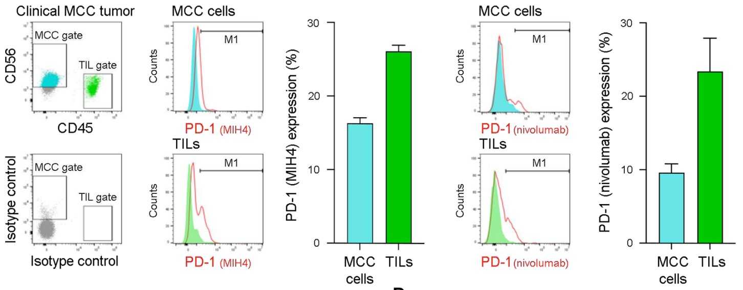 Representative flow cytometric analysis of PD-1 surface protein.jpg